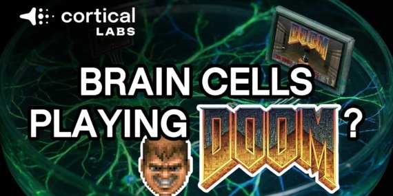 Biyolojik Bilgisayarların Yükselişi: İnsan Beyin Hücreleri Efsanevi “Doom” Oyununu Oynuyor